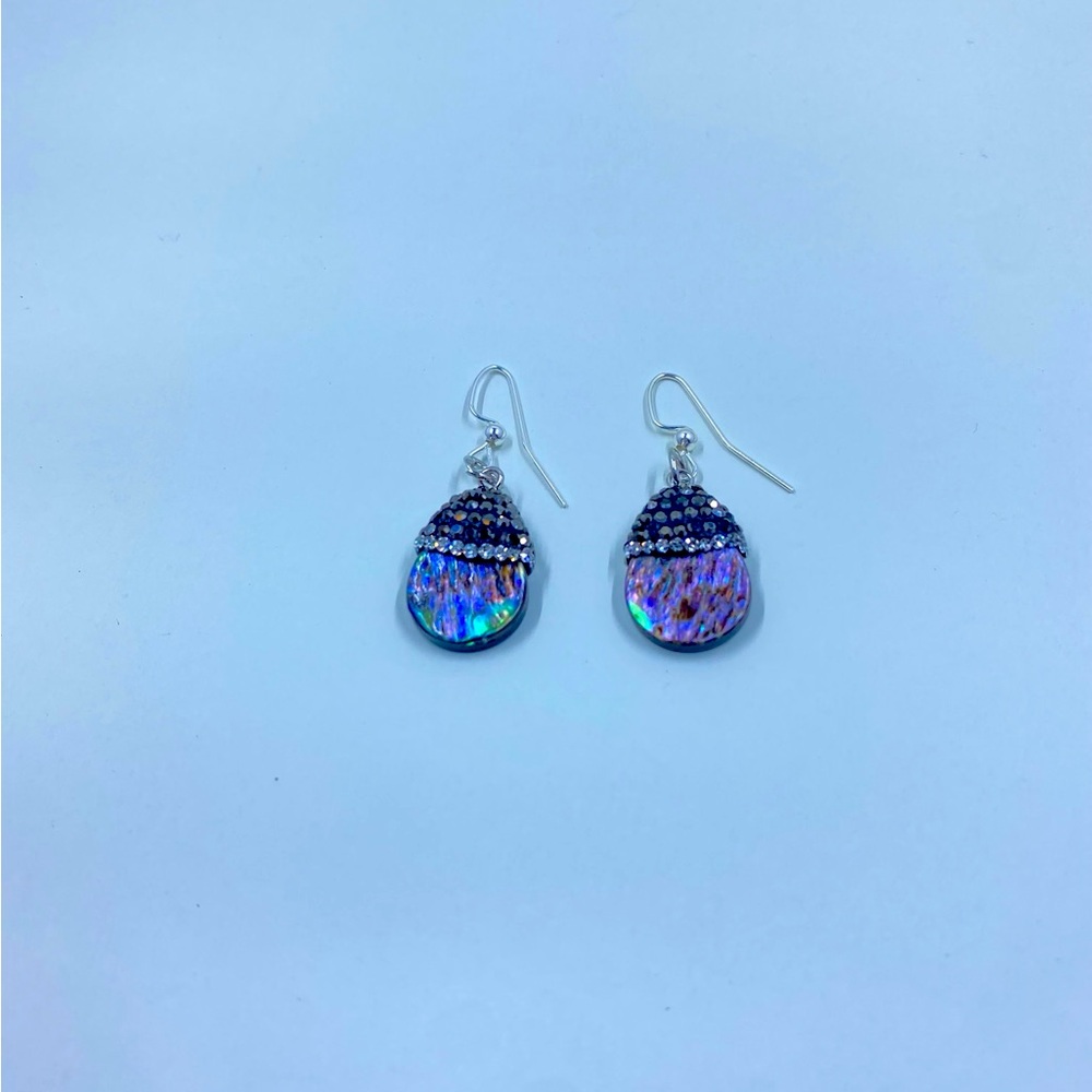 Earrings- Paua Shell - image 4